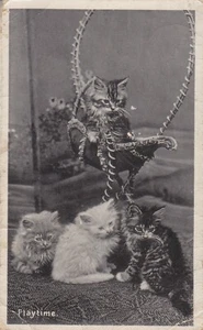 Postcard - Playtime (Pub: Wildt & Kray) Posted 1908 (RP) - Picture 1 of 2