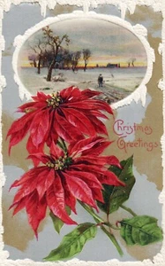 John Winsch Christmas Greetings Snowy Field Scene Vintage Poinsettia Postcard - Picture 1 of 2