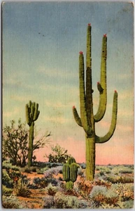 Postkarte Vintage Leinen 1935 Riesiger Sahuaro Kaktus Arizona AZ - Bild 1 von 3