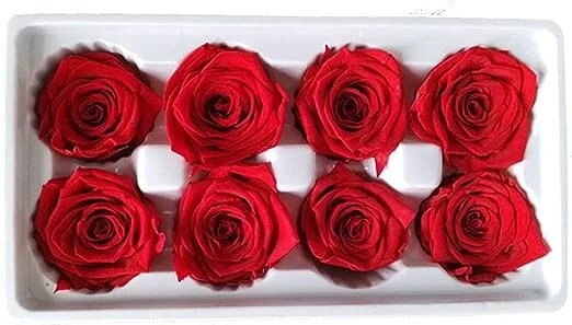 Eternal Rose Flower,Valentine's Day with Flowers 9391 - Image 1 of 1