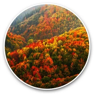 2 x Vinyl Stickers 25cm - Autumn Leaves Czech Republic #44179 - Photo 1/8
