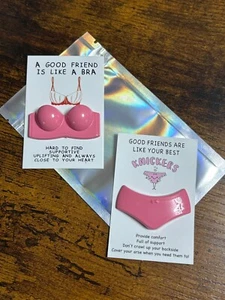 Good Friend Gift Set Bra And Knickers Resin Set On Cards With Poem Best Support - Picture 1 of 10