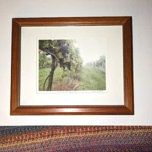 Time For Harvest Brian Keith Piper Framed Photo Grapes Vineyard Signed 16.5x13x1 - Picture 1 of 7
