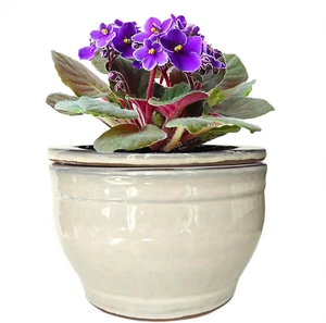 African Violet Pots Self Watering 6" round Ceramic Pot White - Picture 1 of 1
