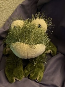 Webkinz Ganz Frog HM001 2006 USED NO CODE October 2007 Pet of the Month