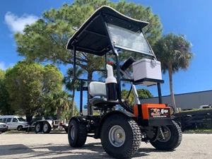 NEW 50AH LITHIUM BATTERY cheetah ninja 48v Golf Cart FAST AC MOTOR ,CANOPY - Picture 1 of 24