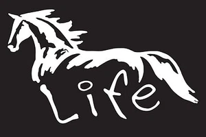 Horse Life 7" Vinyl Car Truck Window Sticker Decal - Picture 1 of 2