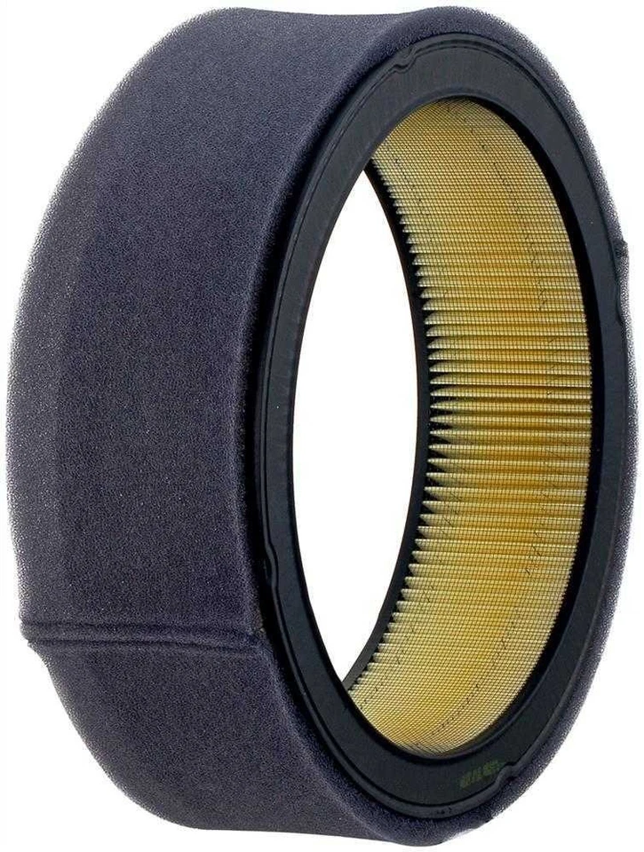 Filtro de aire compatible con Pontiac Grand Prix Parisienne Bonneville 1981-1985 ACDELCO GM O Foto 1 de 1