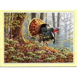 Leanin' Tree Greeting Card I' m Sorry Turkey "Oak Ridge Monarch" by Larry Zach - Picture 1 of 3