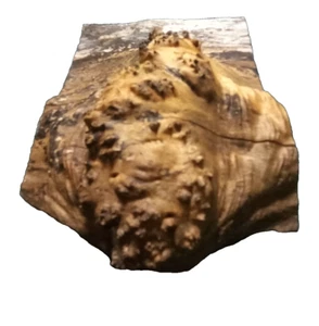 TAPA DE ARCE BURL TORNEADO ARTESANÍA CARPINTERÍA APROX 9,5x8x3 IN - Imagen 1 de 3