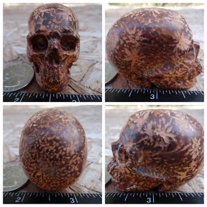 2.06" Starburst Jasper Stone Skull Hand Carved 91g 3.2oz Crystal Healing - Picture 1 of 12