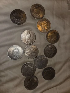 12 Piece Dollars 12oz. - Picture 1 of 1