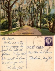 Postal de colección - Un carril pacífico en Florida 1938 - Imagen 1 de 1