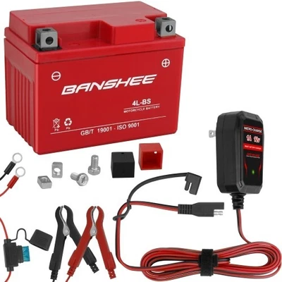 4L-BS Banshee Battery for Husqvarna SM 125 2012 - Maintenance-Free with charger - Изображение 1 из 4
