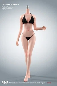 T303 1/6 Makeup Physiological Details Seamless Body 12in Female Big Bust Figure - Picture 1 of 12