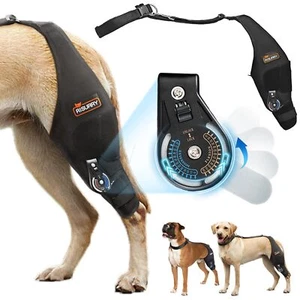 Adjustable Dog Knee Brace with Extra Collar Support for Torn Acl Hind Leg Tea... - Picture 1 of 7