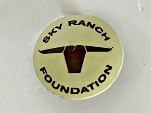 Vintage Sky Ranch Foundation Clip-on Button - Steer Head Design - 7/8" Diameter - Picture 1 of 3