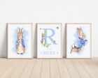 Peter Rabbit Prints Custom Kids Bedroom Wall Art Pictures Gift A4 Prints Only