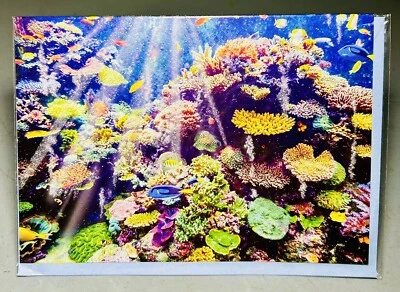 Hermosa tarjeta de felicitación Artists Treasures arrecife de coral océano peces texturizados nueva Foto 1 de 3