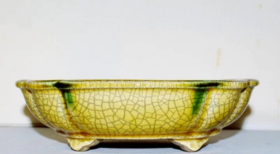 Maceta Bonsai Japonesa TERAHATA SATOMI 7.9" (20cm) Amarillo Esmaltado Ovalado Mokko Y987 Foto 1 de 4