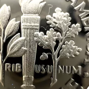 2025 S Retained Struck Through Object - Proof Clad Roosevelt Dime US Mint Error - Picture 1 of 24
