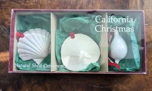 California Christmas Natural Shell Ornaments Set Of 3 - Picture 1 of 4