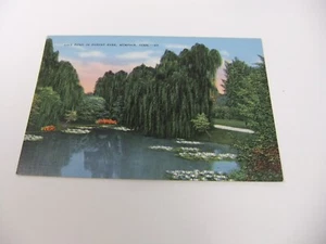 Memphis Tennessee Lily Pond in Forest Park Postcard - Picture 1 of 6