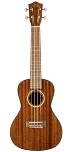 LANIKAI MAHOGANY SERIES ALL SOLID CONCERT UKULELE MASC - Picture 1 of 4
