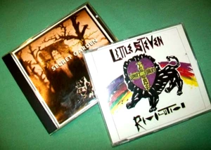 Bruce Springsteen / Little Steven CD Menge Secret Garden Revolution - Bild 1 von 1