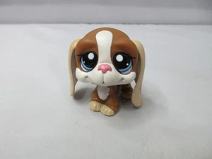 Authentic BASSET HOUND #1655 Littlest Pet Shop Hasbro Miniature Figure LPS - Picture 1 of 11