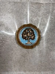 Small Vintage Balfour 1/20 10K GF NATIONAL CONGRESS OF PARENTS AND TEACHERS PIN - Picture 1 of 2