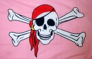 CALAVERA PIRATA Y HUESOS CRUZADOS BANDERA ROSA FIESTA DEL ORGULLO GAY 5X3 - Imagen 1 de 1