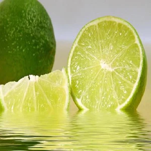 20pcs/lot  Lemon Seeds bonsai,Edible Fruit Meyer Exotic Citrus Bonsai Lemon Tree - Picture 1 of 9