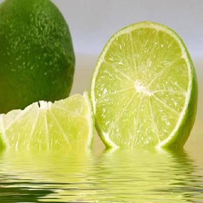 20pcs/lot  Lemon Seeds bonsai,Edible Fruit Meyer Exotic Citrus Bonsai Lemon Tree - Image 1 of 4