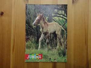Apotheken-Zeitschrift Junior 08 / 1983 * Pferde der Camargue... Comics - Bild 1 von 1
