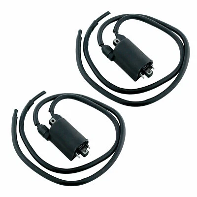 2 Sets Of Ignition Coil for Honda CBR900RR Fireblade 93-99 /CB900F Hornet 02-07 - Imagem 1 de 2