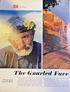 Life on Crete 1967 ilustrado - Imagen 1 de 6