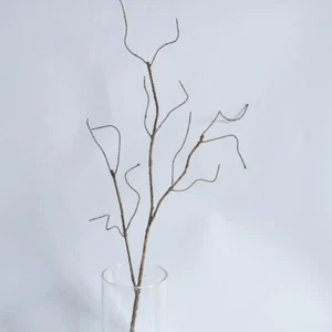 Display Artificial Tree Branch Art Craft Home Decoration Iron wire Dry - Imagen 1 de 8