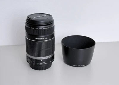Obiettivo Canon EF-S 55-250mm f/4.0-5.6 IS - Immagine 1 di 3