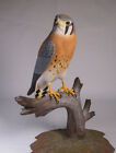 9-1/2" American Kestrel  Backyard Bird Carvings/Birdhug