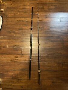 Shakespeare Ugly Stik BWC-1100 12’ Fishing Pole No pad on End