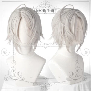 Peluca diaria de cosplay anime Pio Fiore no Banshou Dante·Falzone Periwig - Imagen 1 de 2