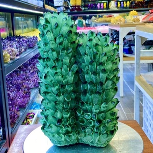 Nuevo hallazgo de 22,1 lb verde fantasma cuarzo cristal racimo mineral muestra curación - Imagen 1 de 15