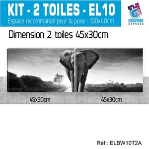 90x30cm 2 LEINWÄNDE BEDRUCKT ELEFANT - GEMÄLDE WANDDEKO EL10BWT2A - Bild 1 von 9