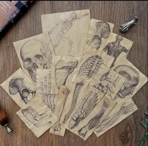 Set di carta anatomica retrò 17 pezzi per scrapbooking e diario spazzatura - Foto 1 di 6