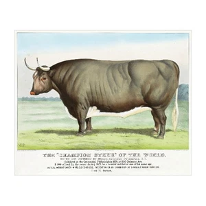 Champion Steer of the World FRIDGE MAGNET, 1877 Currier & Ives Ox Cow - Picture 1 of 7