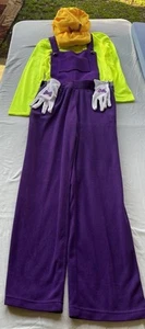 Super Mario Brothers - Disfraz de Wario - Sombrero, Guantes, Mono, Camisa ¡Sin Bigote! - Imagen 1 de 16