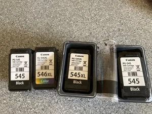 4 puste wkłady do drukarek Canon (oryginalne) wkład 546 XL + 545 XL + dwa 545 - Zdjęcie 1 z 1