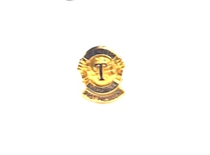 Vintage Toastmasters Int'l Past Presidents Lapel Pin Gold-Toned Screw Back - Picture 1 of 6