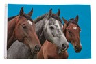 Horses Flag (5ft x 3ft)